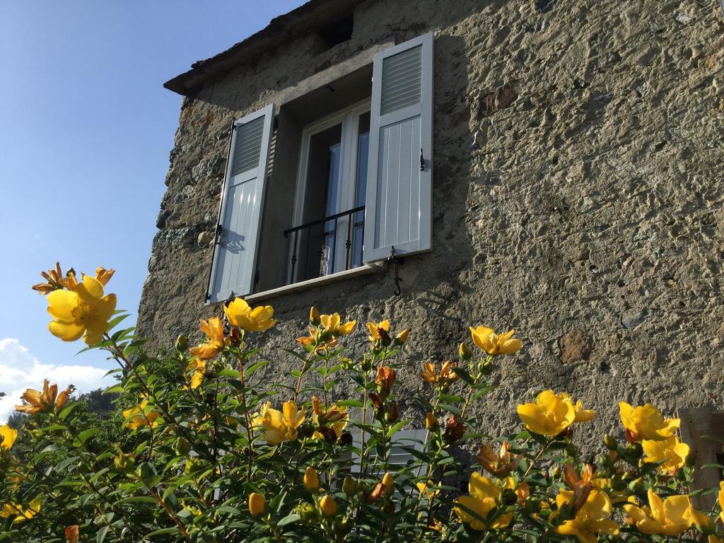 Casa Orani Villa Ponte Leccia Ruang foto
