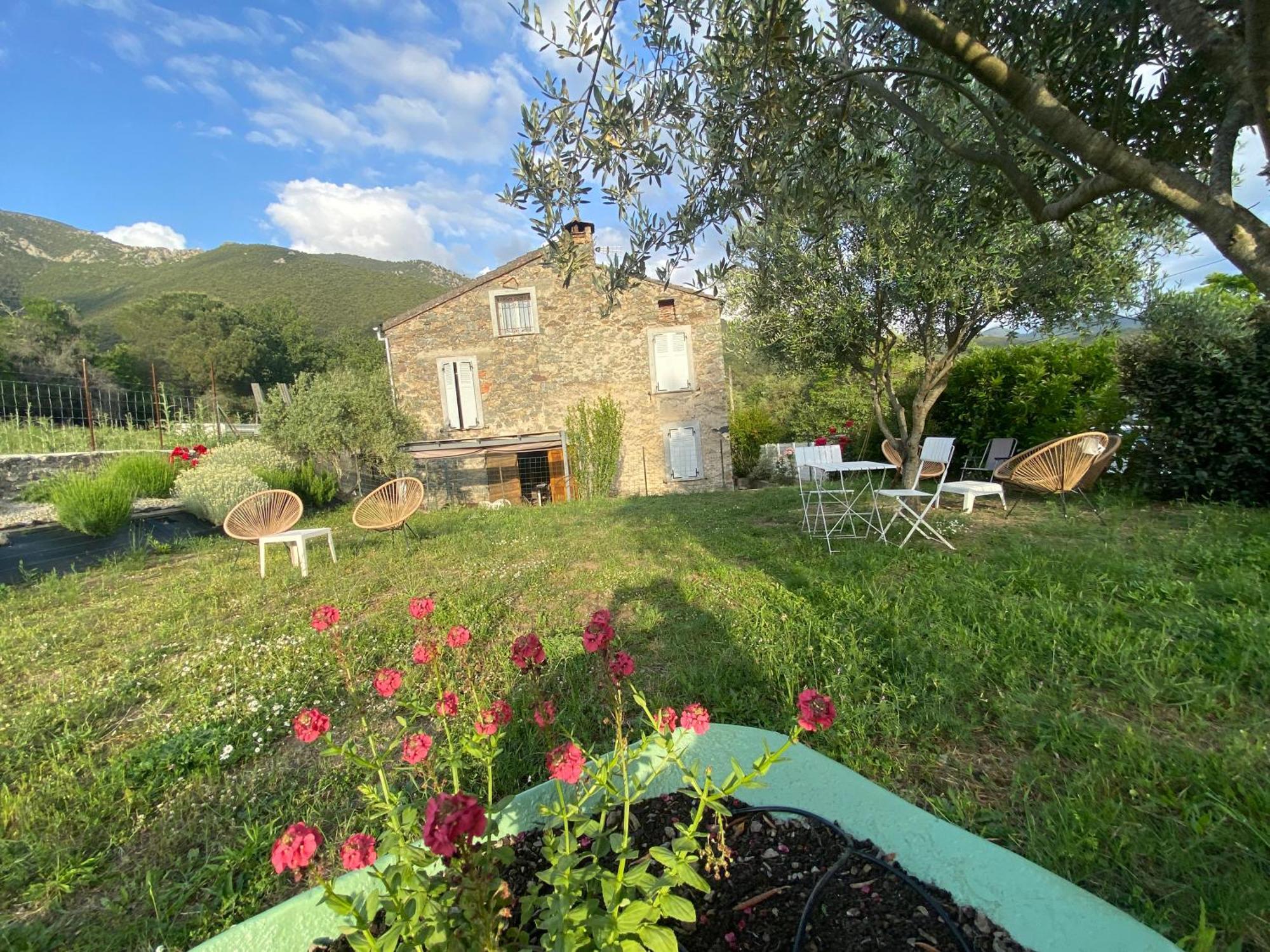 Casa Orani Villa Ponte Leccia Bagian luar foto