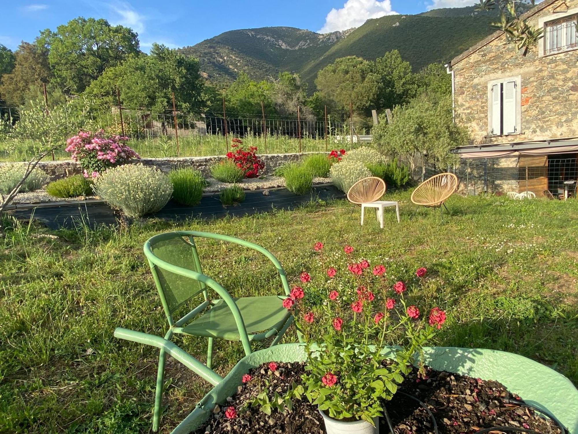 Casa Orani Villa Ponte Leccia Bagian luar foto