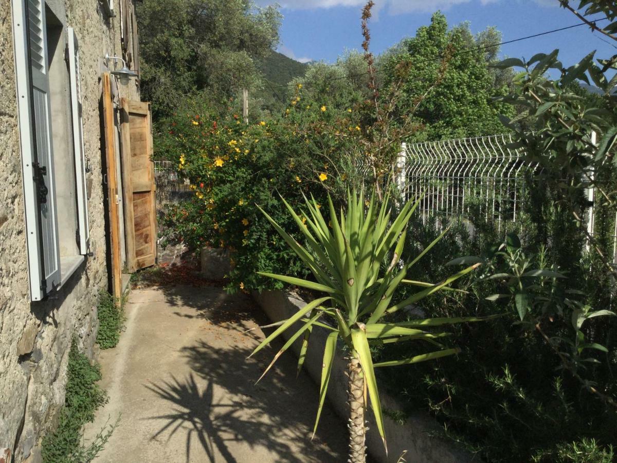 Casa Orani Villa Ponte Leccia Ruang foto